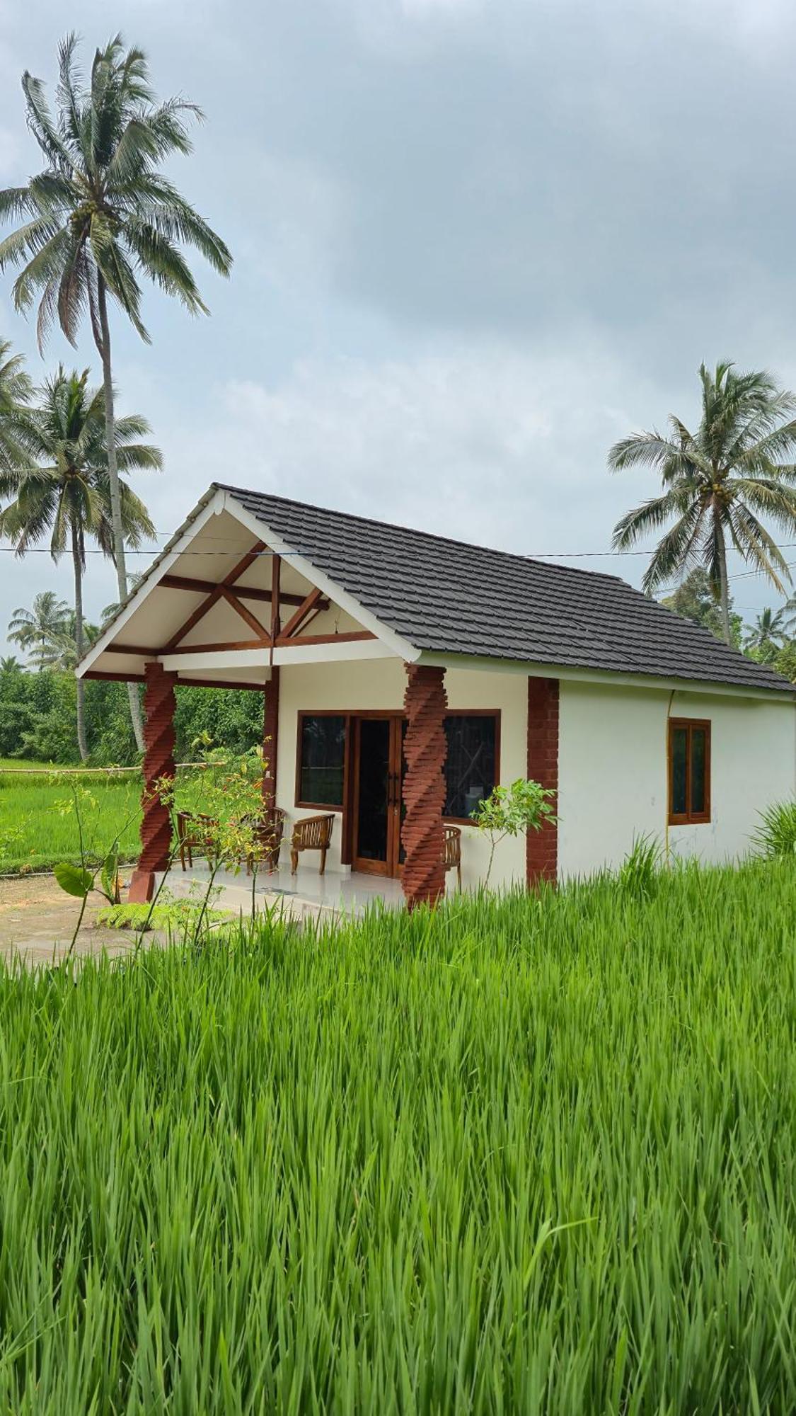 Rice Field Inn - Lombok Tetebatu Exterior foto