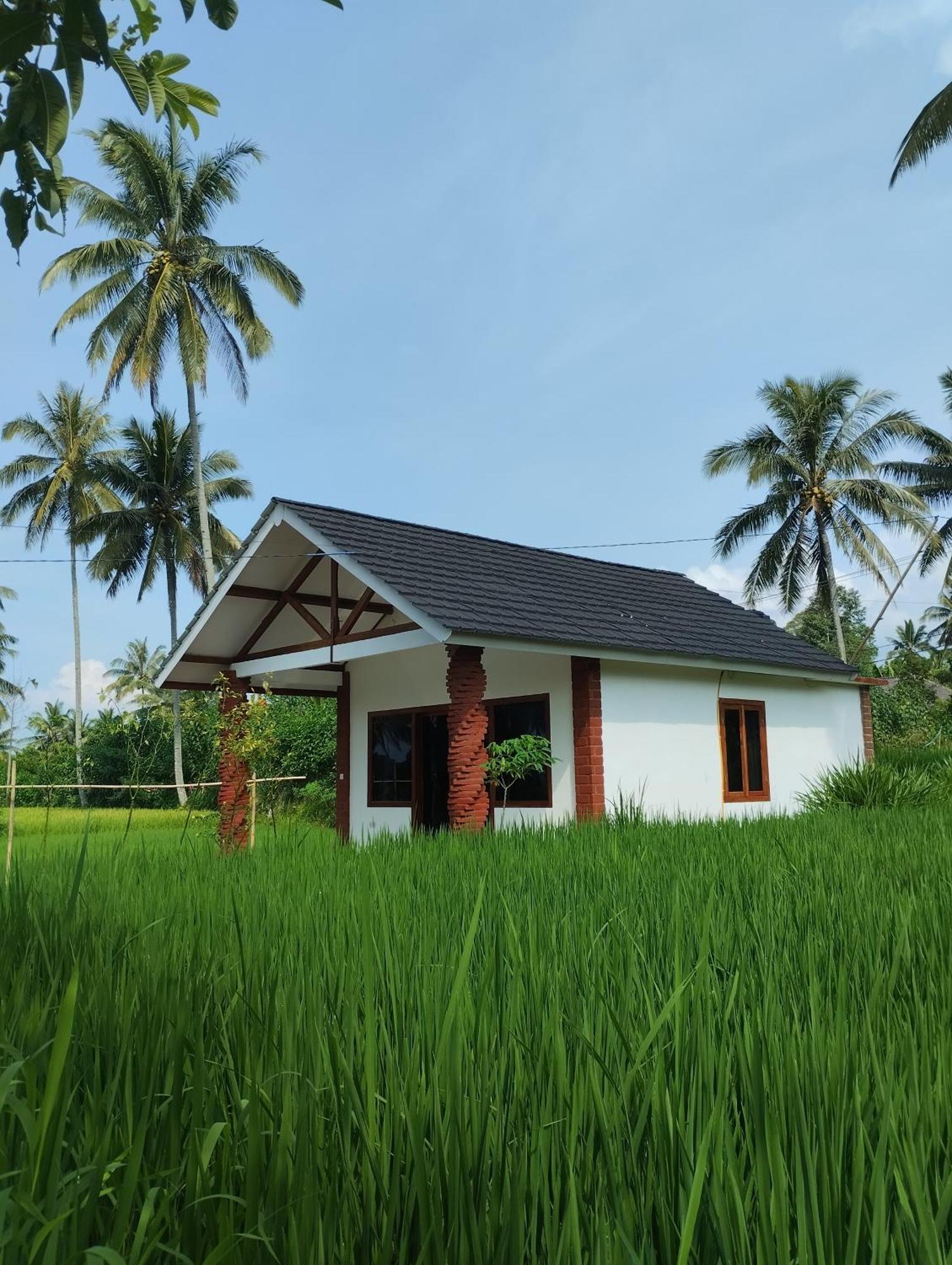 Rice Field Inn - Lombok Tetebatu Zimmer foto