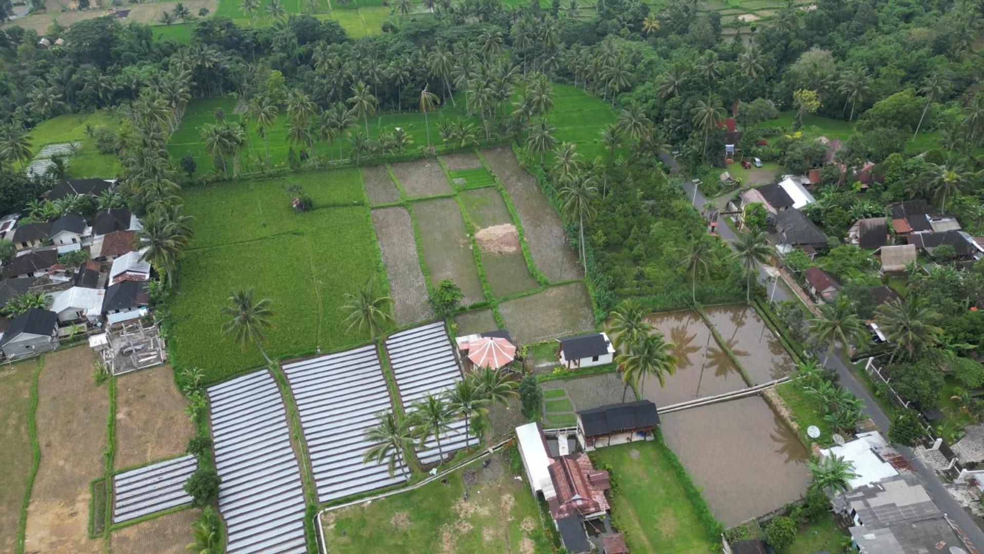 Rice Field Inn - Lombok Tetebatu Exterior foto