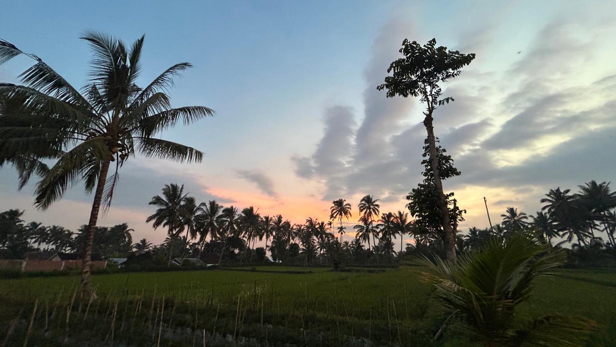 Rice Field Inn - Lombok Tetebatu Exterior foto